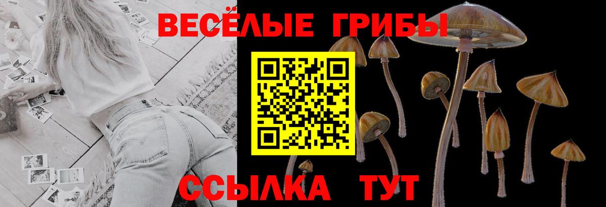 Псилоцибиновые грибы Psilocybine cubensis  Вход с VPN  Новокубанск 
